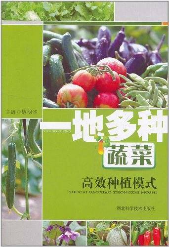 一地多种蔬菜高效种植模式