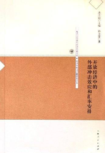 开放经济中的外部冲击效应和汇率安排