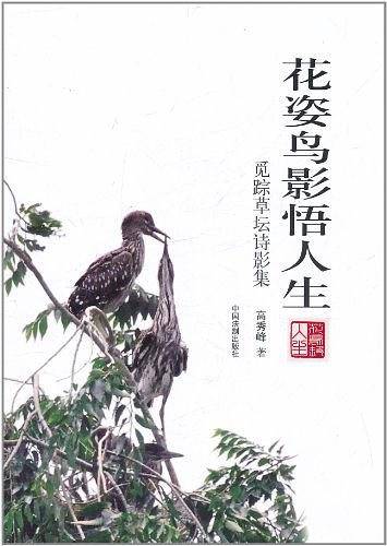 花姿鸟影悟人生
