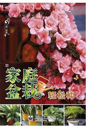 家庭盆栽轻松种