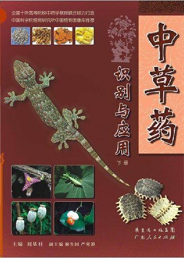 中草药识别与应用