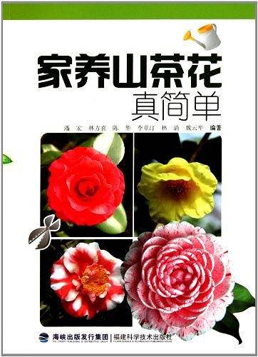 家养山茶花真简单