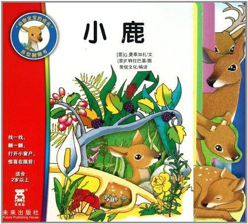动物宝宝的成长