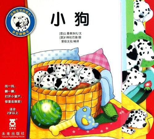 动物宝宝的成长