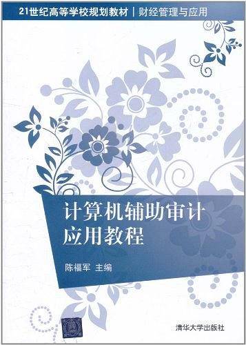 计算机辅助审计应用教程