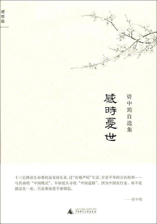 感时忧世