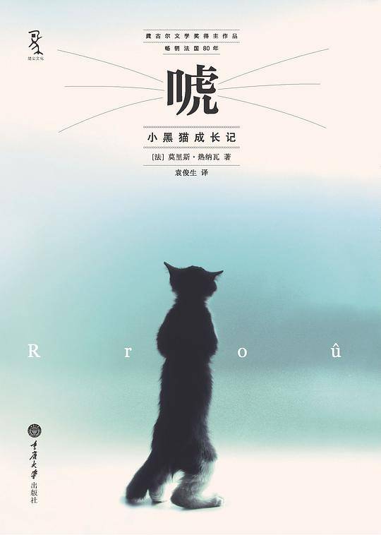 唬――小黑猫成长记