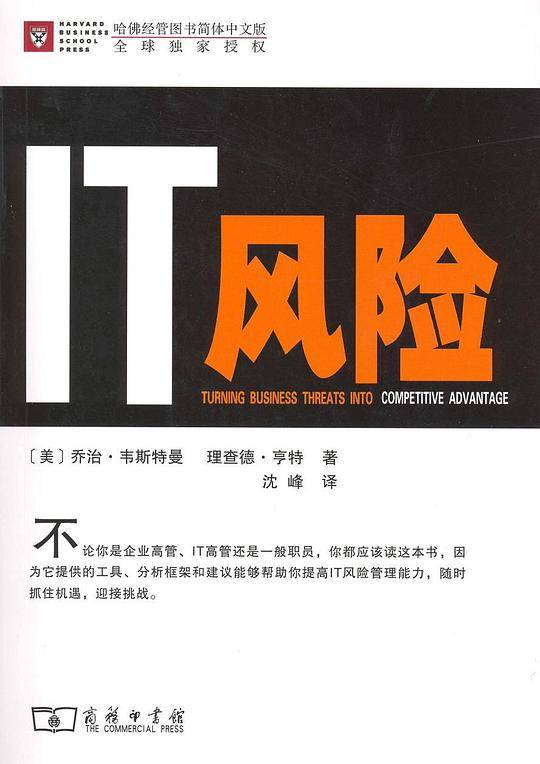 IT风险
