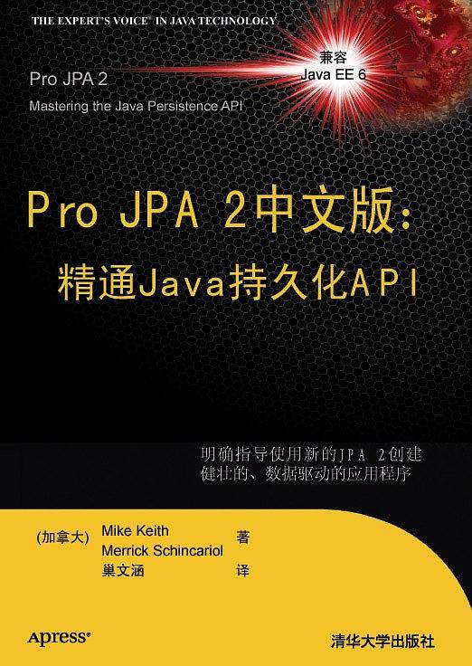 Pro JPA2中文版：精通Java持久化API