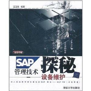 SAP管理技术探秘