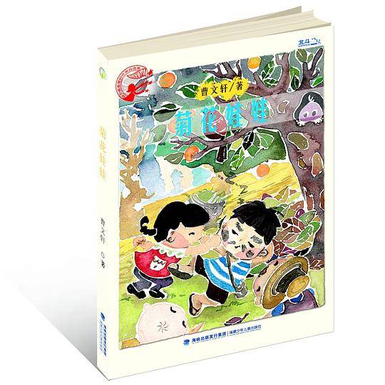 孩子最喜爱的作家自选集—菊花娃娃