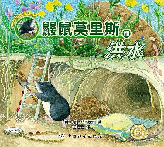 兔子郎帕斯的木筏