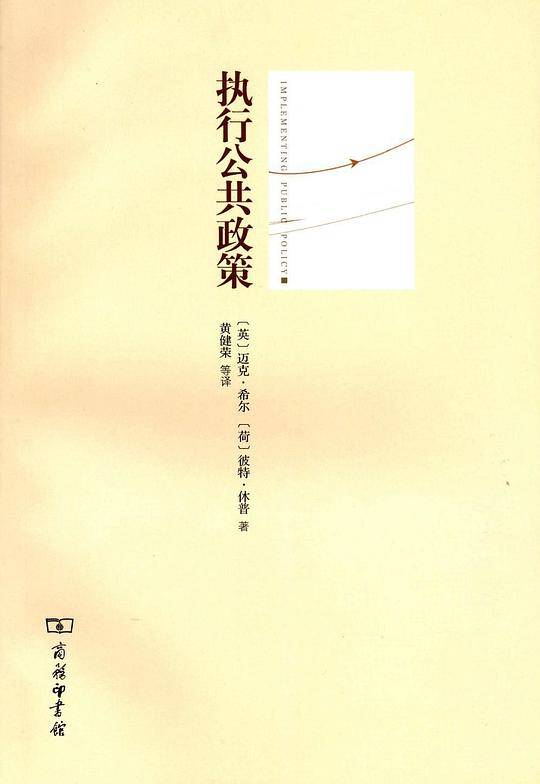 执行公共政策