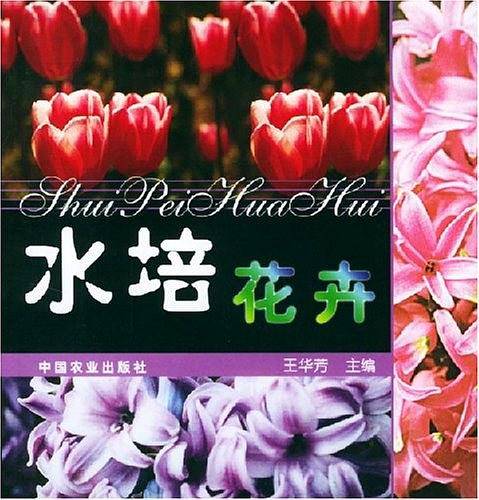 水培花卉