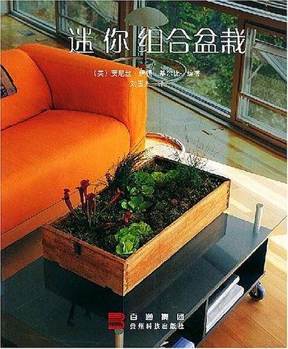 迷你组合盆栽