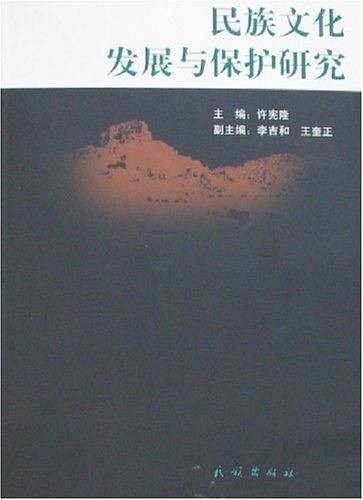 民族文化发展与保护研究