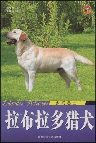 乡间名士