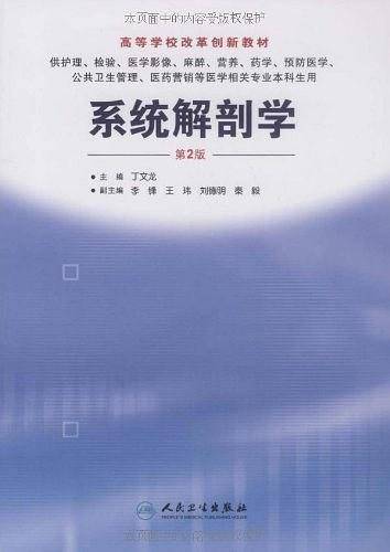 系统解剖学