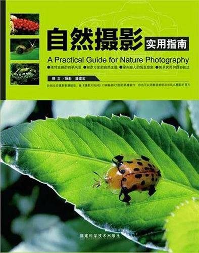 自然摄影实用指南