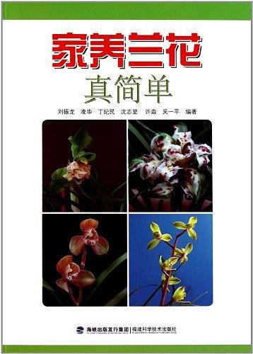 家养兰花真简单