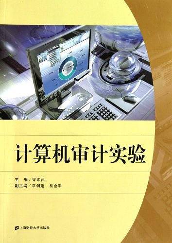 计算机审计实验