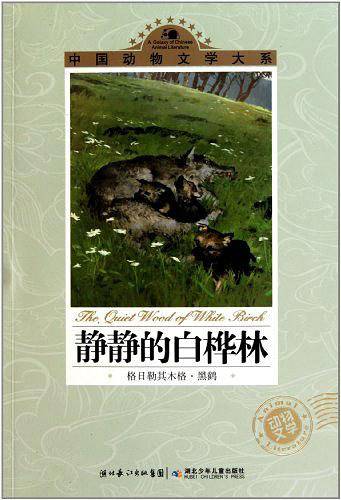 静静的白桦林