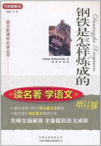 钢铁是怎样炼成的