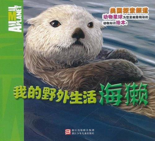 我的野外生活