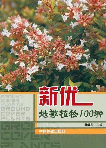 新优地被植物100种