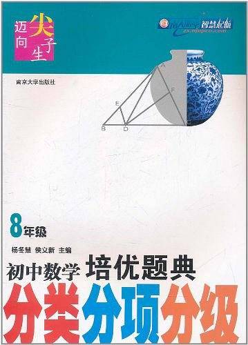 初中数学培优题典