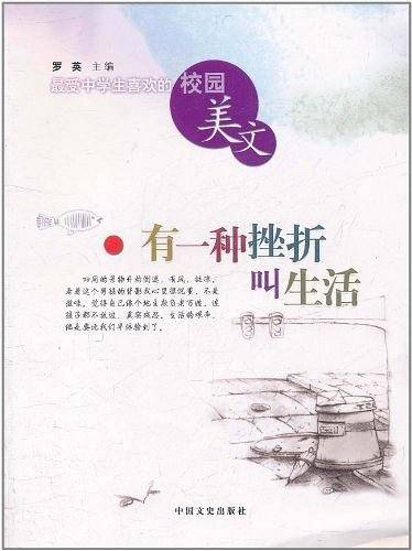 有一种挫折叫生活