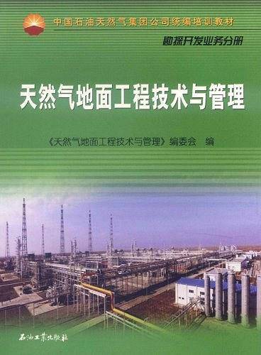 天然气地面工程技术与管理