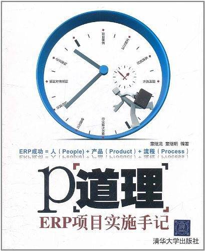 P道理――ERP项目实施手记