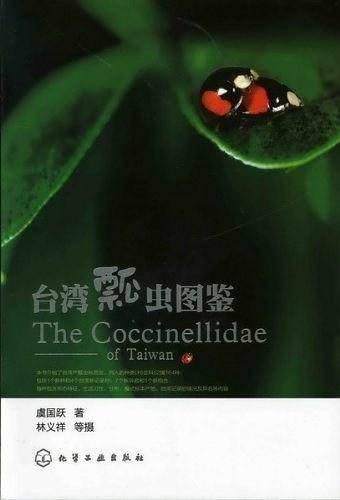 台湾瓢虫图鉴