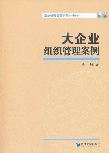 大企业组织管理案例