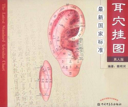 最新国家标准耳穴挂图