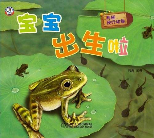 宝宝出生啦！两栖、爬行动物