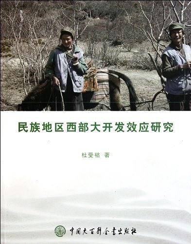 民族地区西部大开发效应研究