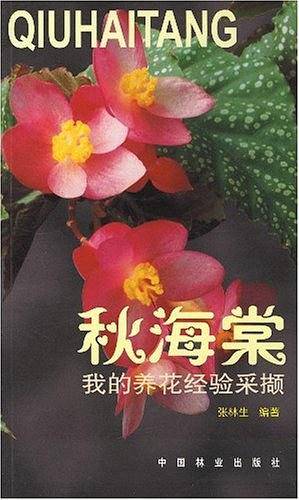 我的养花经验采撷    秋海棠