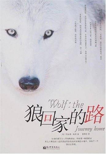 狼回家的路