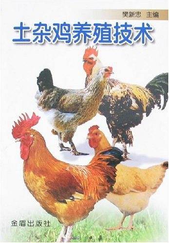 土杂鸡养殖技术