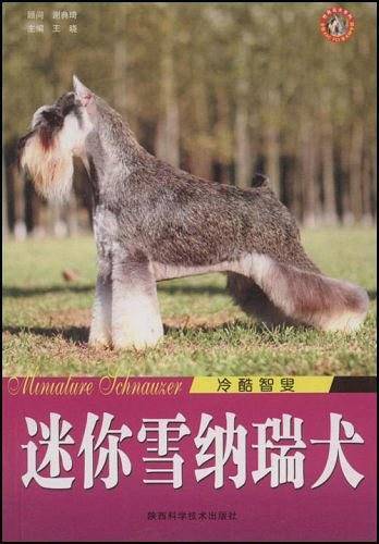 冷酷智叟