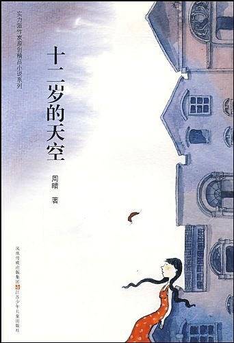 十二岁的天空