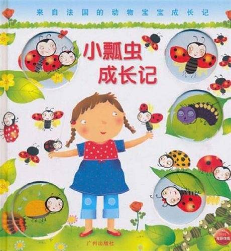 来自法国的动物宝宝成长记：小瓢虫成长记