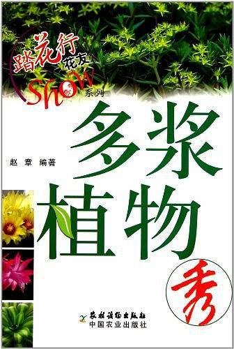 多浆植物秀