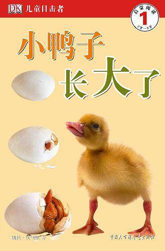 DK儿童目击者.启蒙阅读-第1级.套装共4册