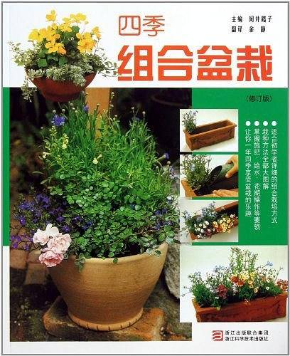 四季组合盆栽