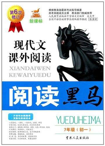 阅读黑马