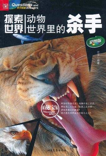 探索世界
