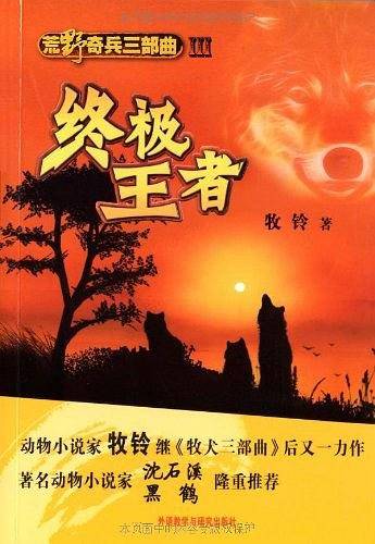 终极王者
